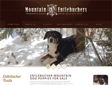 Tablet Screenshot of mountainentlebuchers.com